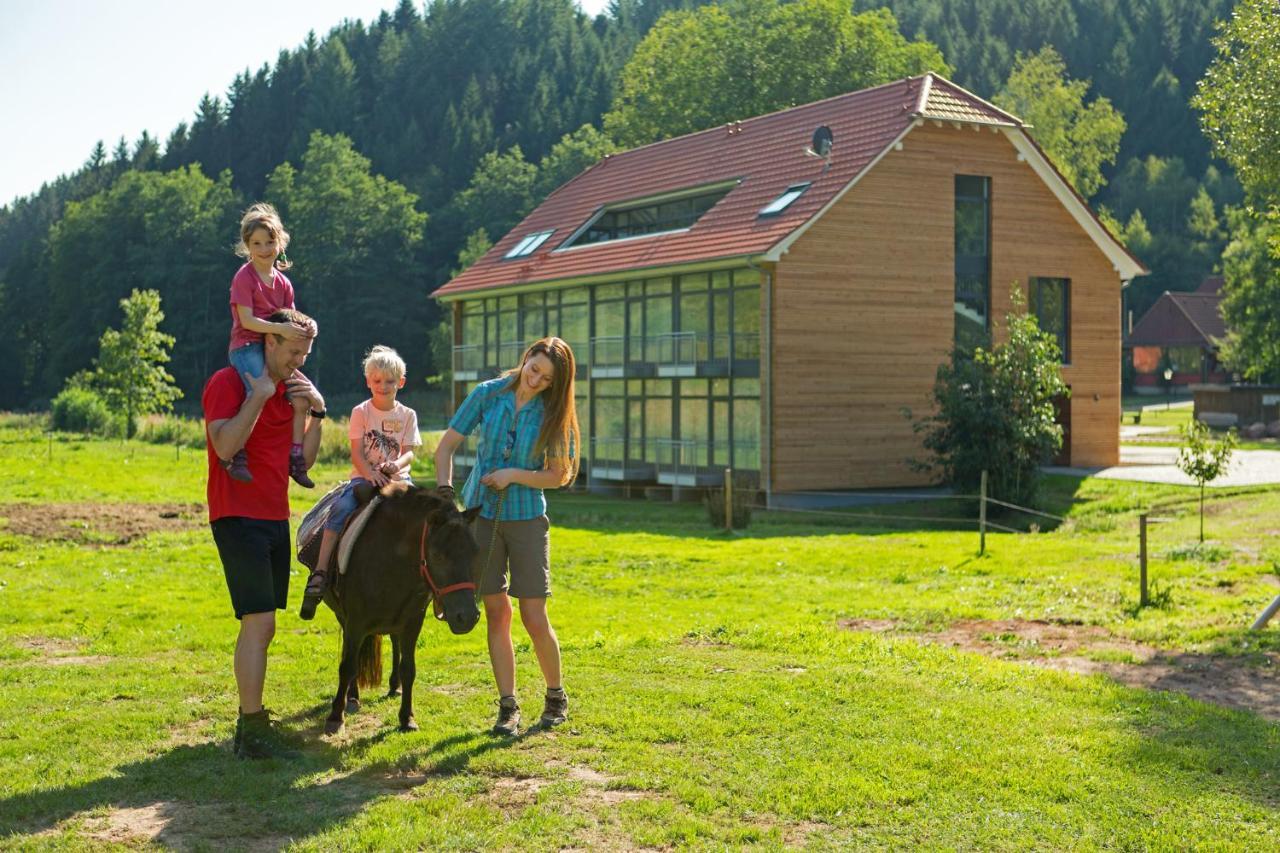 Landhotel Weihermuehle Thaleischweiler-Froschen 외부 사진